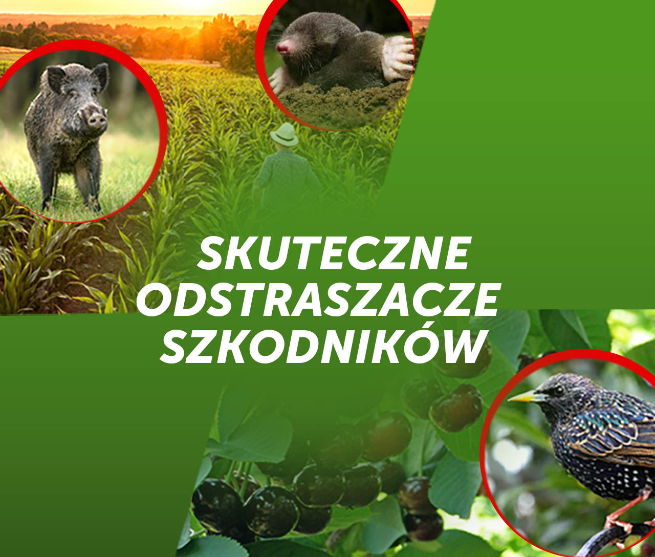 baner-odstraszacze-mobile